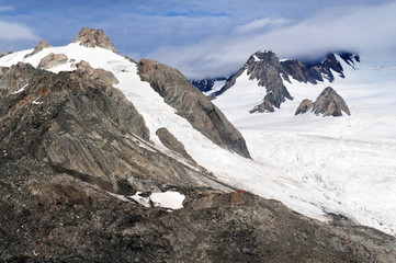 Fox Glacier New Zealand