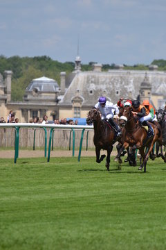 Horse race in Chantilly