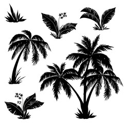 Palm trees, flowers and grass, silhouettes
