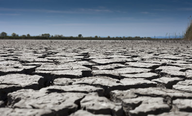 Wizen lakeside close up shot with cracked soil....