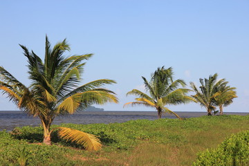 Fototapeta na wymiar Gujana - Les Salines