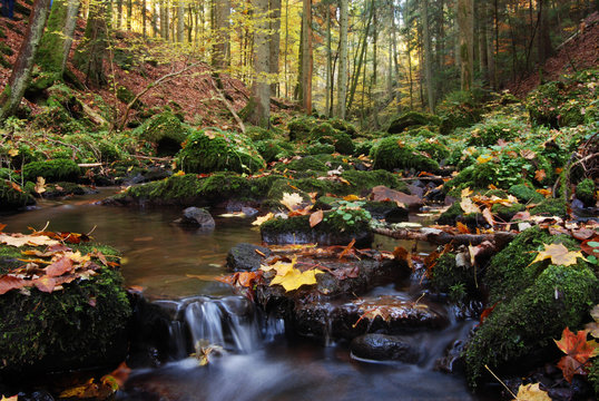 Monbachtal