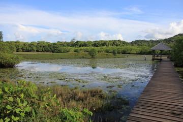 Guyane - Les Salines