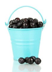 ripe blueberries in blue bucket isolated on white