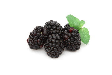 More - Blackberries