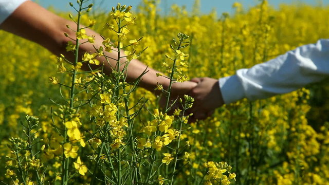 young couple runs across the field of rape