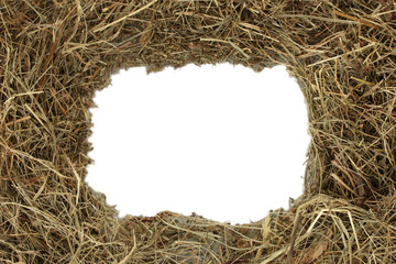 The frame of golden hay on white background