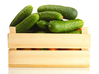 fresh cucumbers in wooden box  isolated on white