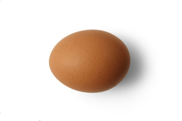 Egg