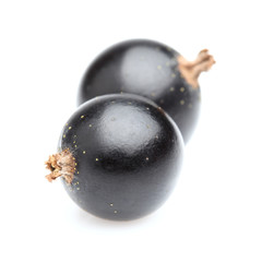 Blackcurrant in closeup