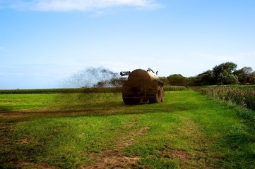 Obraz premium Landschaft am Nordseedeich