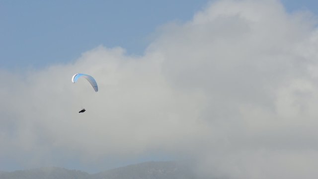Paragleiter