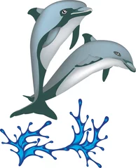 Foto op Canvas Twee dolfijnen springen uit het water © silvio_v