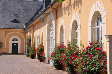 Fototapeta na wymiar Schloss Johannisberg