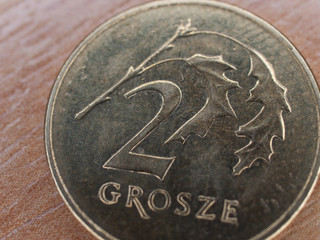 Polish currency : 2 grosze - obrazy, fototapety, plakaty