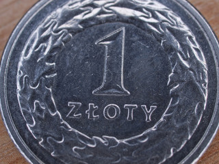 Polish currency : 1 zloty