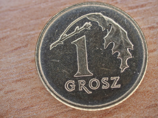 Polish currency : One grosz
