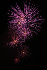 Fototapeta premium Feux d'artifice violets