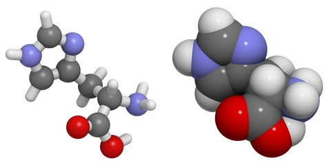 Histidine (His, H) molecule