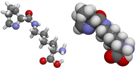 Pyrrolysine (Pyl, O) molecule.