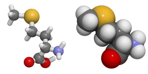 Selenomethionine (Sem)  molecule.