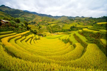 Badezimmer Foto Rückwand Rice Terraces © GiangHai