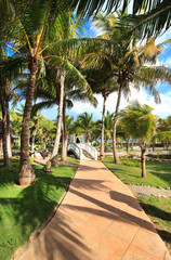 Fototapeta premium Area of hotel Melia Cayo Guillermo.