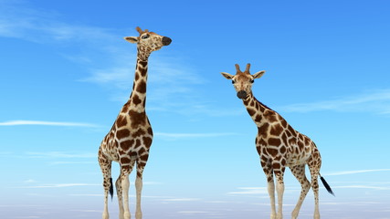 Obraz premium キリン