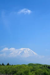 Foto op Canvas 新緑の樹海と富士山 © k_river