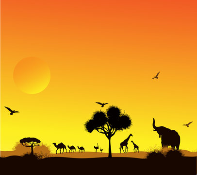animals and trees against a sunset in the desert