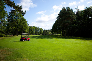 voiturette de golf