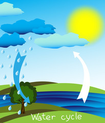 Water cycle