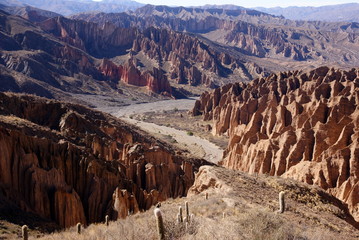 Desert, andean landscape with canyon, Tupiza, Bolivia