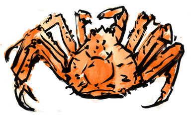 King crab