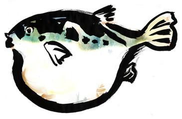 Globefish © freehand