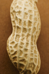 茶色の背景に落花生のクローズアップ