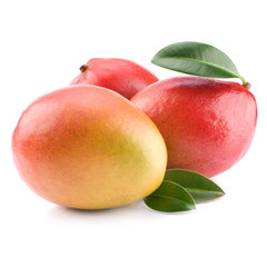 mango isolated on white background
