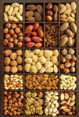 Nut varieties