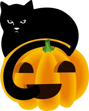 Black Cat Peeking Over the Top of a Halloween Pumpkin