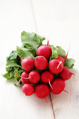 fresh radish