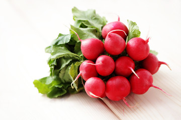 fresh radish