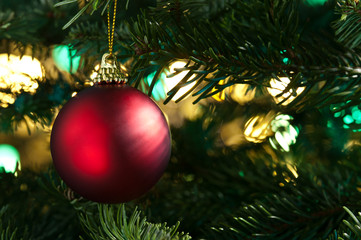 Decorative red bauble in a Christmas tree