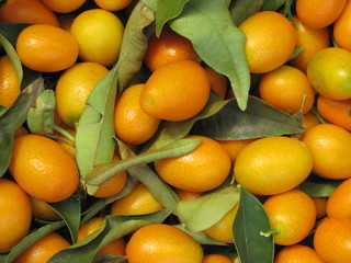 Kumquats