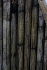 old bamboo