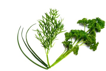 Dill, Petersilie, Schnittlauch