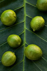 Several limes on palm leaf