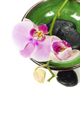 Obraz na płótnie Canvas Orchid Spa Composition