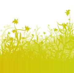 Blumen auf der Graswiese