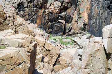 Felsformation Kullaberg (Schweden)