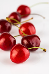 Sweet cherry